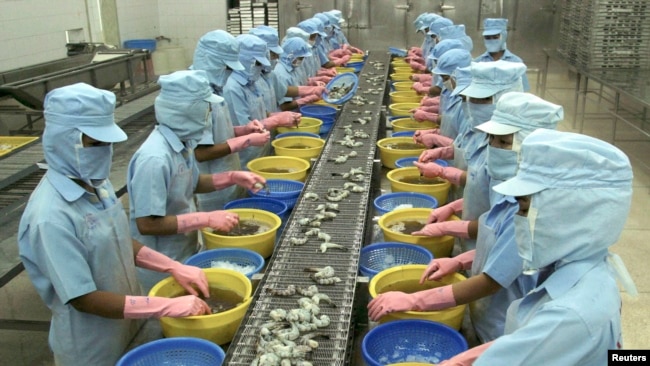 Theo Bloomberg, xuất khẩu của Việt Nam, trong đó có hải sản, sang Hoa Kỳ tăng gấp đôi kể từ năm 2010.