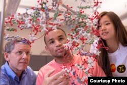 Chemistry professor Mike Summers works with several students in the Meyerhoff Scholars Program at the University of Maryland, Baltimore County.