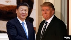 美國總統川普(右)將於4月6日到7日在佛羅里達州的渡假莊園與中國國家主席習近平(左)會晤。圖為二人合成資料照。