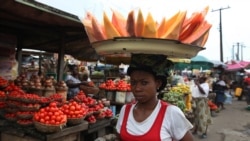 Africa Promotes Investment in Food Security 