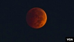 Fenomena 'bulan darah' juga terlihat di Washington DC, AS hari Rabu dini hari (8/10).