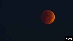La Lune de sang, vue de Washington, D.C., aux Etats-Unis (Dimitris Manis/VOA)