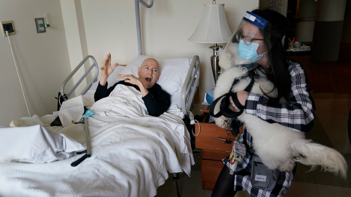 Dogs Ease Loneliness for Older Americans Separated by Coronavirus - Vimarsana News