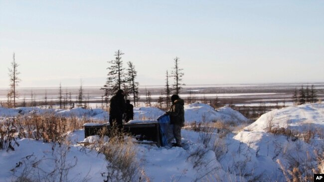 FILE - In this Oct. 27, 2010 photo, Russian scientists Sergey Zimov and his son Nikita Zimov extract air samples from frozen soil near the town of Chersky in Siberia 6,600 kms (4,000 miles) east of Moscow.