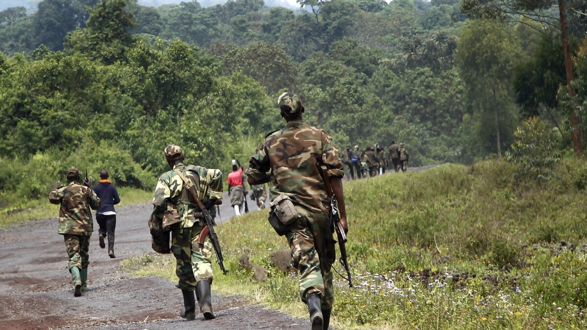 DRC Rebel Group Wants Assurances to Hand Over Weapons