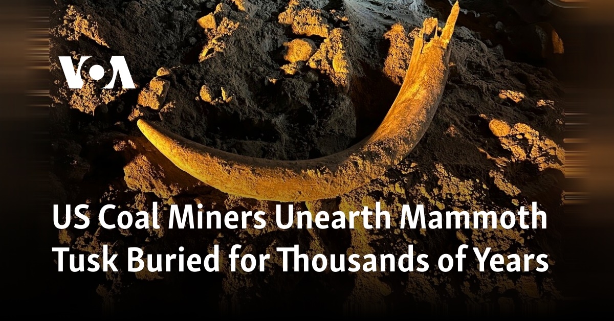 US coal miners discover ancient mammoth tusk buried for millennia.