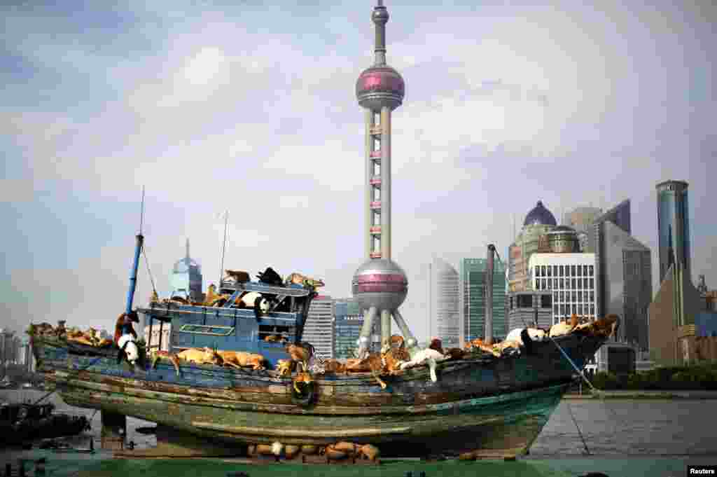 Sebuah kapal karya seni oleh seniman China, Cai Guoqiang, ditambatkan di sungai Huangpu dalam pameran di Shanghai.