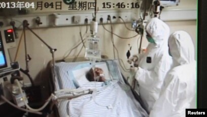 Hong Kong Laporkan Kasus Pertama Flu Burung H7n9