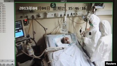 Jumlah Korban Flu Burung Jenis Baru Di China Meningkat