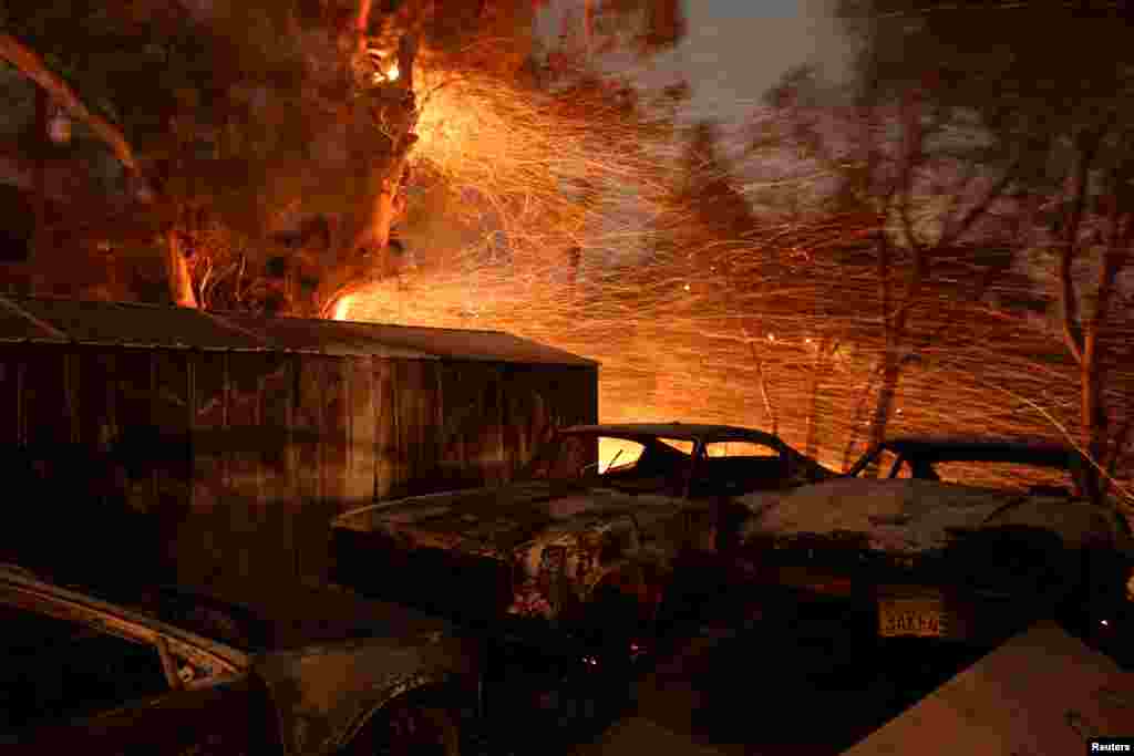 Embers blow from a tree shortly before it fell down near burned cars as strong winds push the Thomas Fire across thousands of acres near Santa Paula, California, Dec. 5, 2017.