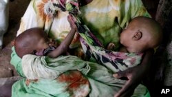 FILE - A Somali refugee cradles her one-month old twins, born at the camp hospital, as she sits on the sand floor of a makeshift shelter in Hagadera Camp, outside Dadaab, Kenya, July 9, 2011. A new study has found that 1 in 5 twins born in sub-Saharan Africa dies before the age of 5.