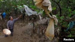 FILE - A woman removes plastic waste stuck in tree branches near the beach in Thanh Hoa province, Vietnam June 4, 2018.