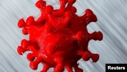 ILUSTRACIJA - Model koronavirusa odštampan 3D printerom (Foto: Reuters/Dado Ruvić)