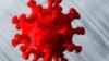 کرونا وائرس ہوا سے پھیلتا ہے: بارہ ملکوں کے سائنس دانوں کا نیا نظریہ