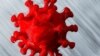 Model 3-D virus corona (COVID-19) dalam foto ilustrasi, 25 Maret 2020. (Foto: Reuters)