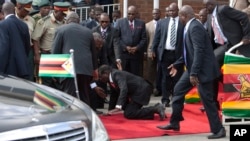 Zimbabwean President Robert Mugabe, center, falls after addressing supporters upon his return from an African Union meeting in Ethiopia, Wednesday, Feb. 4, 2015.