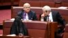 Anti-Muslim Australian Senator Wears Burqa in Parliament