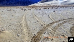 This January 2019 photo provided by the U.S. National Park Service shows vehicle tracks an area that is home to rare and endangered plants and animals in Death Valley National Park, California. (National Park Service via AP)