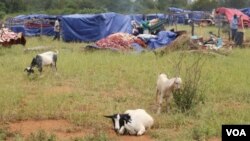 Zimbabwe Floods