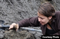 University of California ecology associate professor Beth Shapiro finds ancient bones in the thawing permafrost in the gold fields of Canada’s Yukon Territory (credit: Tyler Kuhn)