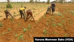 Wasu manoma a jihar Neja dake arewacin Najeriya su na korafin cewa gwanmati ta kwace filayen su ne da karfi ba tare da diyya ba