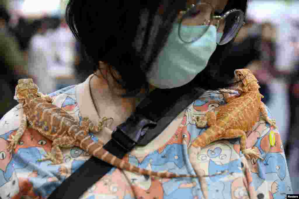 A woman carries two geckos on her shoulders at the Pet Expo Thailand in Bangkok, Thailand.