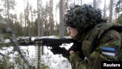 에스토니아군 병사가 전술 사격 훈련에 참가하고 있다. (자료사진)