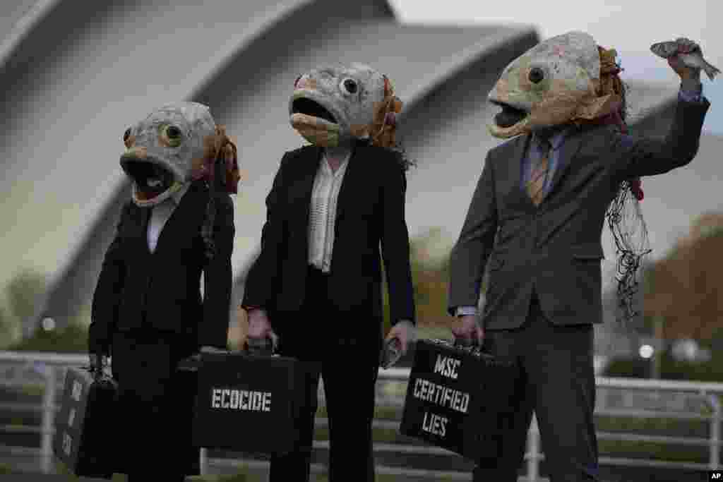 Campaigners from the environment group Ocean Rebellion wearing fish head masks take part in a protest against the Marine Stewardship Council (MSC), near the venue of the COP26 U.N. Climate Summit in Glasgow, Scotland.