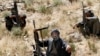 امریکی حکام سے پاکستان میں کوئی ملاقات نہیں ہو رہی: طالبان