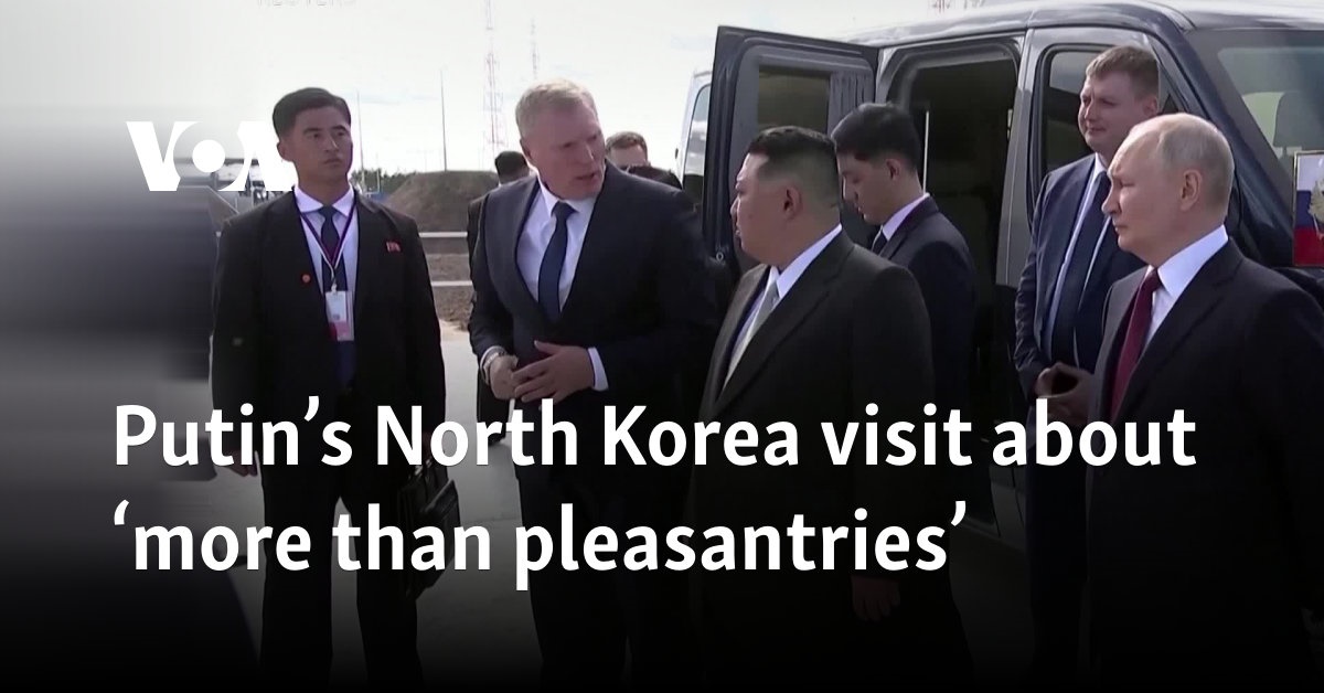 Putin's North Korea visit about 'more than pleasantries'