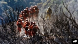 In this photo provided by the Santa Barbara County Fire Department, Cal Fire Inmate Firefighting Hand Crew members hike through the charred landscape on their way to work east of Gibraltar Road above Montecito, California, Dec. 19, 2017.