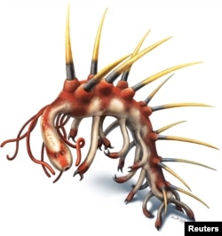 An artist's color reconstruction of Hallucigenia sparsa is shown in this image released to Reuters, June 23, 2015.