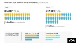 Houston's non-Hispanic white population.