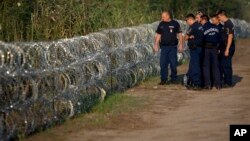 Macar polisi Sırbistan sınırına örülen dikenli telleri inceliyor