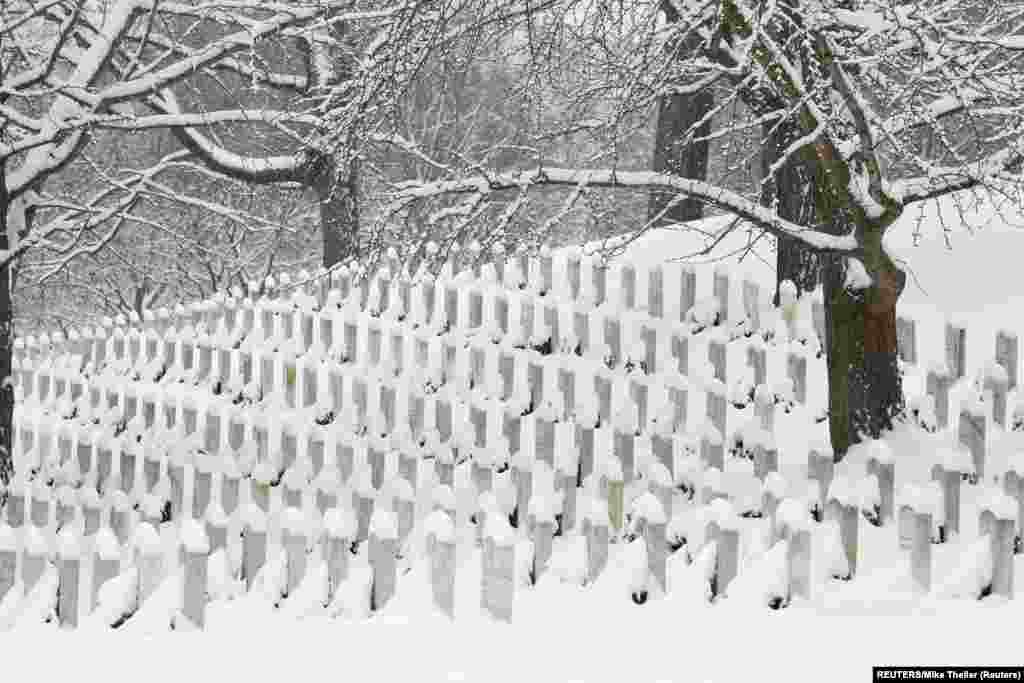 Арлінгтонське кладовище, Вірджинія, США. 13 січня 2019 року