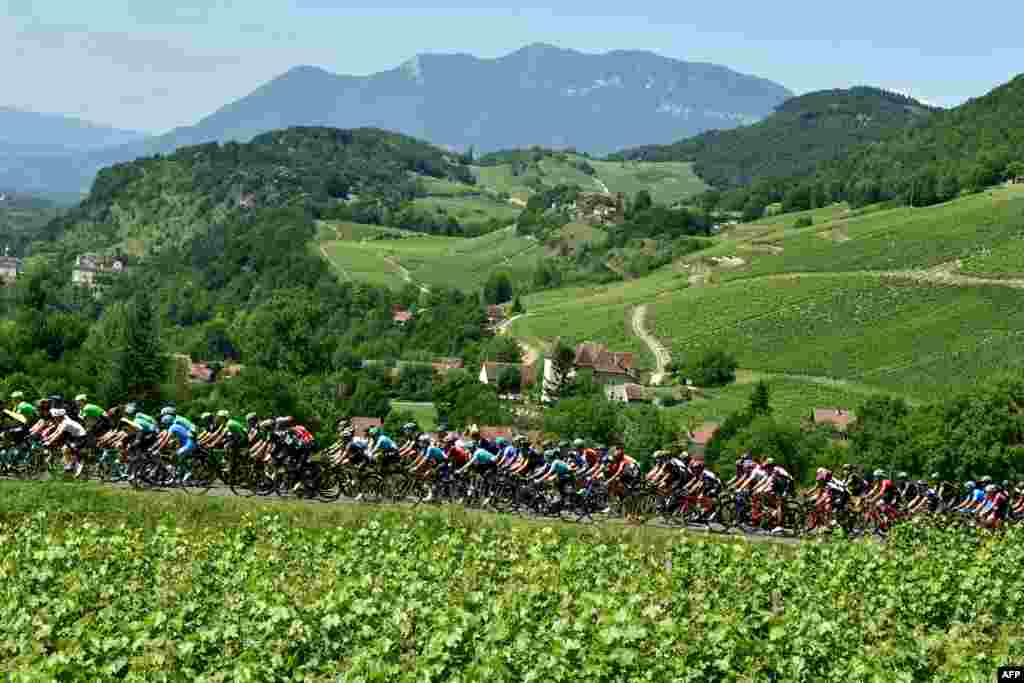 Rombongan pembalap sepeda pada tahap keenam sepanjang 147,5 km balapan sepeda edisi ke-69 Criterium du Dauphine, 9 Juni 2017, antara Villars-les-Dombes dan La Motte-Servolex, Perancis.