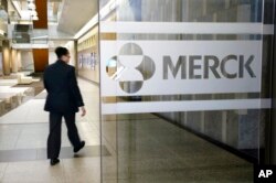 FILE - A person walks through a Merck company building in Kenilworth, N.J., Dec. 18, 2014.