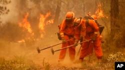 A crew builds a containment line for a wildfire near Sheep Ranch, Calif., Sept. 12, 2015.