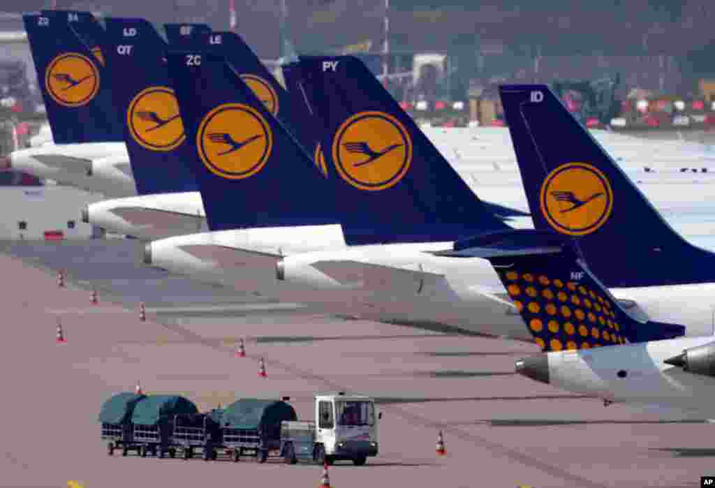 Lufthansa airplanes are pictured parked at the airport in Duesseldorf, Germany. Ground staff at Germany&#39;s biggest airline walked off the job Monday on a one-day strike that prompted the company to cancel most of the day&#39;s scheduled flights.