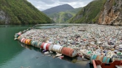 Quiz - Scientists Discover New Bacteria that Feeds on Plastic