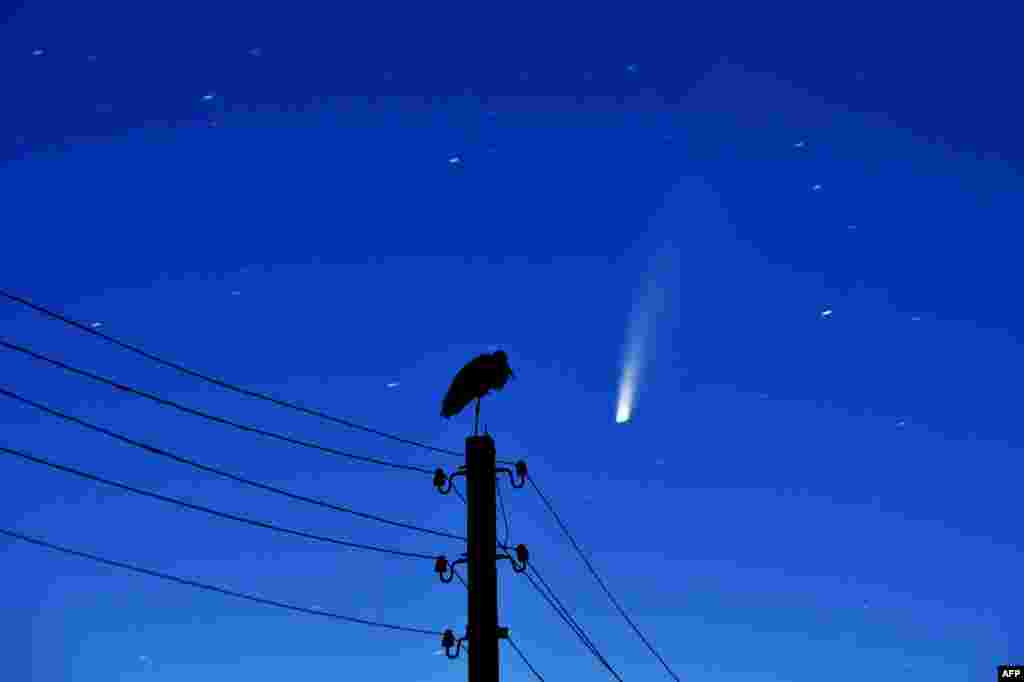 A stork stands on a power line as the comet NEOWISE is seen in the sky above the village of Kreva, some 100 kilometers northwest of Minsk, Belarus.