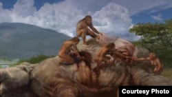 Gambar artis menunjukkan nenek moyang manusia (homo erectus) membunuh seekor gajah di kawasan Afrika sekitar 1.2 juta tahun yang lalu (foto: ilustrasi). 