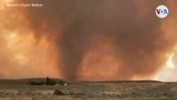 California enfrenta apagones en medio de temperaturas extremas, incendios y COVID-19
