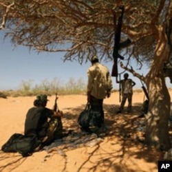 Libyan rebels rest in the shade of a tree as they gather in the al-Noflea area, near Muammar Gaddafi's hometown of Sirte, August 29, 2011