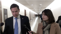 佛羅里達州共和黨籍聯邦參議員魯比奧(Sen. Marco Rubio, R-FL)接受美國之音採訪。 （2019年3月6日）