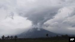 Gunung Semeru memuntahkan abu vulkanik saat erupsi dilihat dari Kabupaten Lumajang, Provinsi Jawa Timur, Senin, 6 Desember 2021. (AP Photo/Trisnadi)