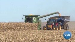 For US Farmers, Season of Uncertainty Surrounds Harvest