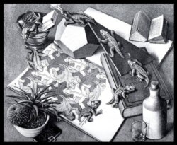 Bò sát, tranh M.C. Escher, 1943.