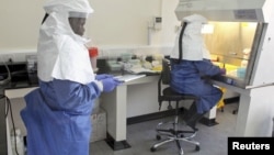 Doctors work in a laboratory on collected samples of the Ebola virus at the Center for Disease Control in Entebbe, southwest of Kampala, August 2, 2012. 