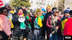 Quelques membres de la diaspora camerounaise manifestent à Paris, France, le 1er février 2019. (VOA)